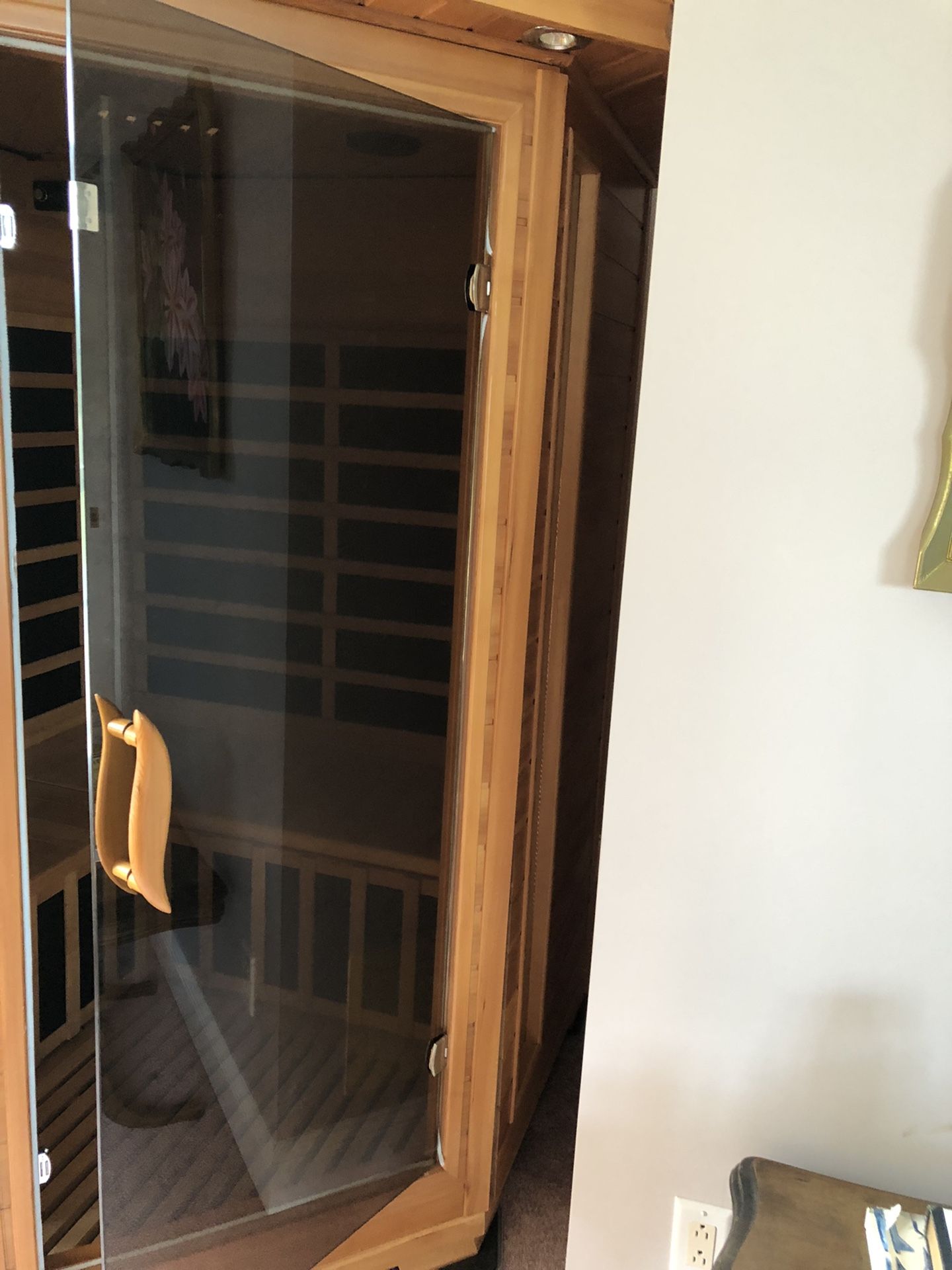 Brand New Sauna, Never Used