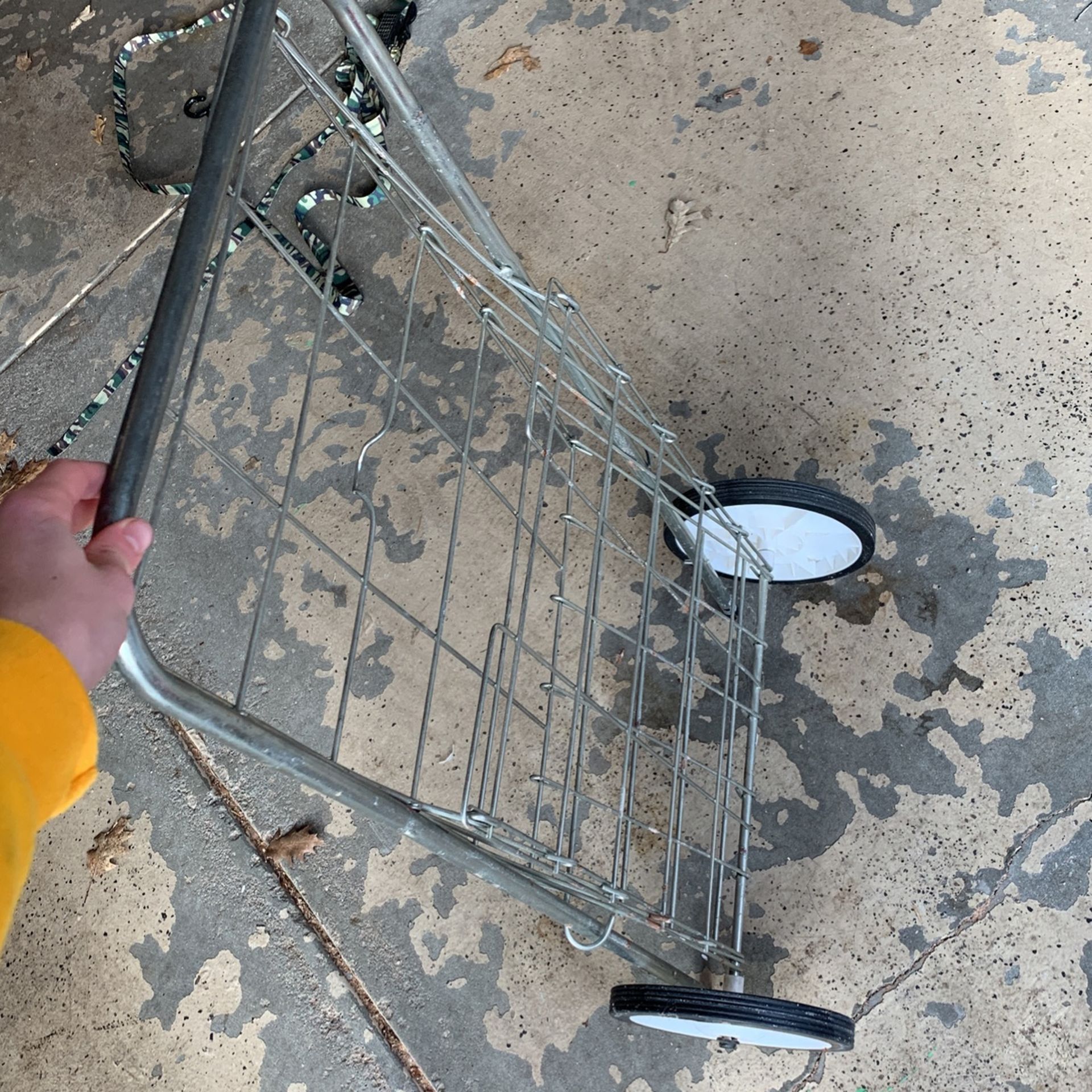 Metal Cart