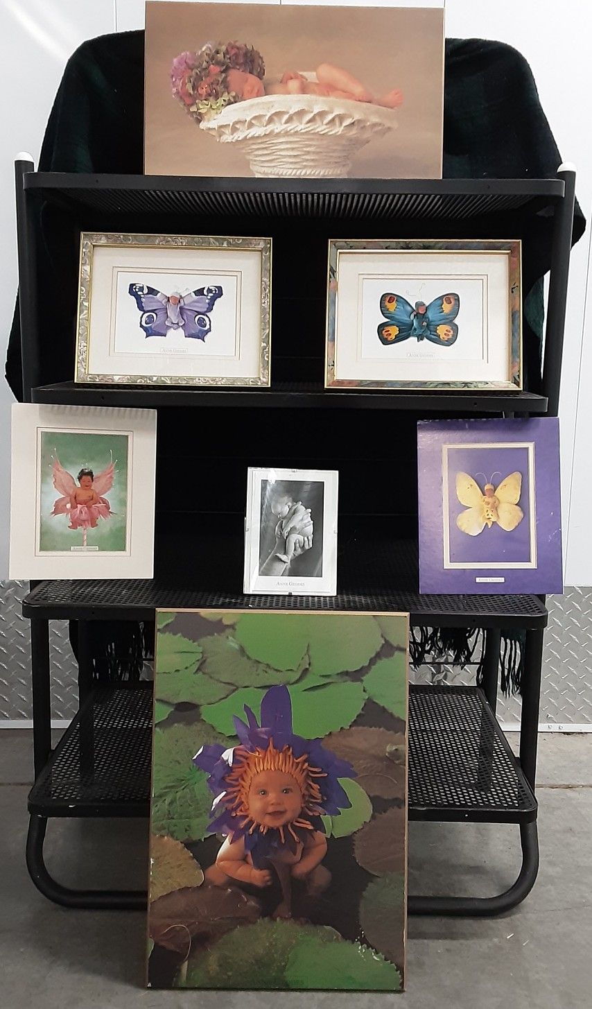 Anne Geddes Art With Beautiful Frame