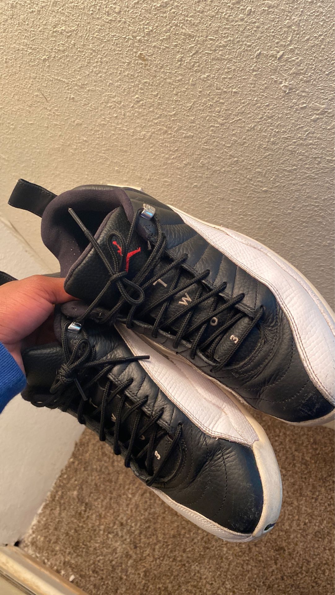 Jordan 12 playoff low