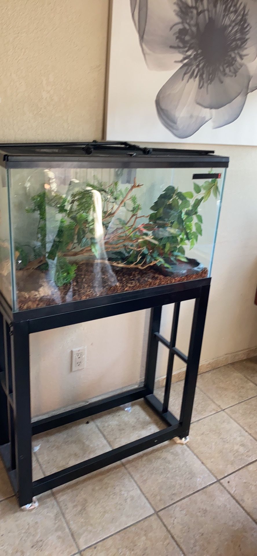 Reptile cage