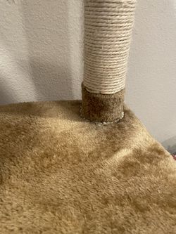 Cat Tower Thumbnail