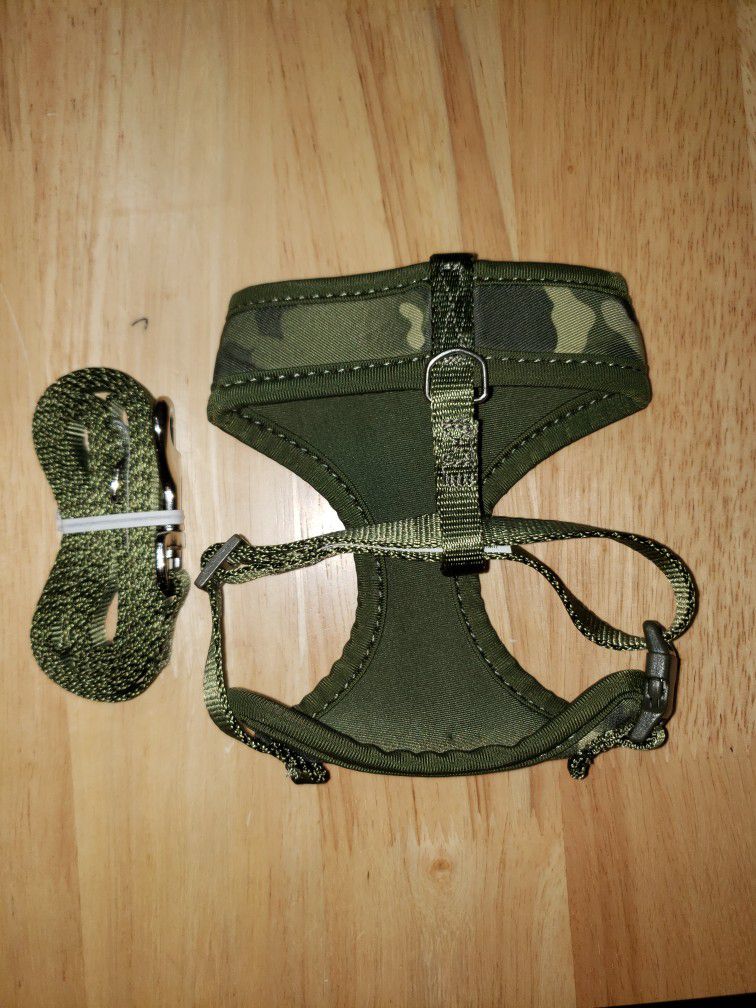 Harness / Leash For Small Dog Or Cat